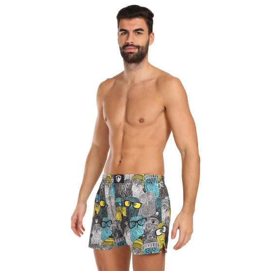 Boxershorts til mænd Represent eksklusiv Ali Owls Cool (R3M-BOX-0642)