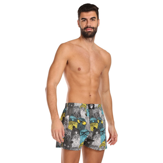 Boxershorts til mænd Represent eksklusiv Ali Owls Cool (R3M-BOX-0642)