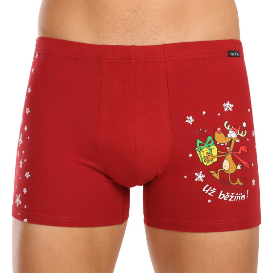 3PACK Boxershorts til mænd Andrie flerfarvet (PS 5779)