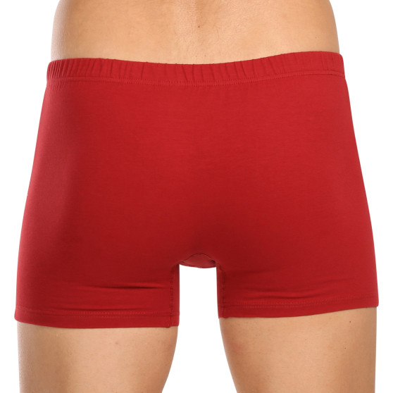 3PACK Boxershorts til mænd Andrie flerfarvet (PS 5779)