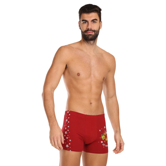 3PACK Boxershorts til mænd Andrie flerfarvet (PS 5779)