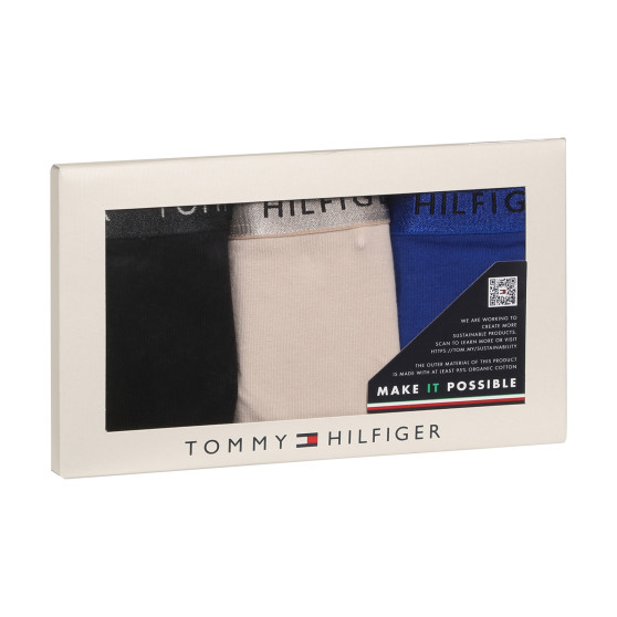 3PACK G-streng til kvinder Tommy Hilfiger flerfarvet (UW0UW04889 0R1)