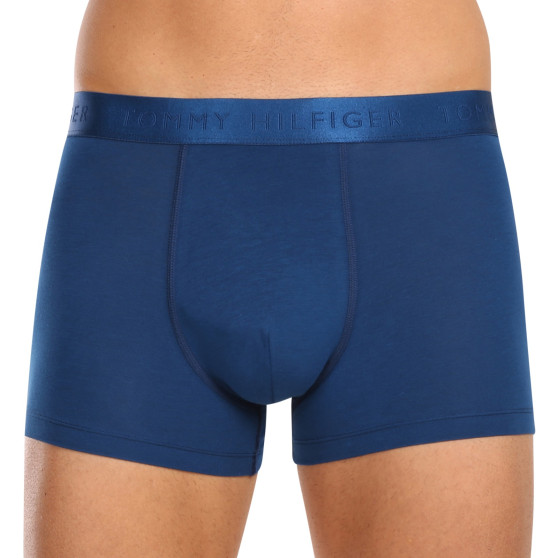 3PACK Boxershorts til mænd Tommy Hilfiger flerfarvet (UM0UM02760 0WL)