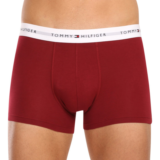 3PACK Boxershorts til mænd Tommy Hilfiger flerfarvet (UM0UM02761 0SS)