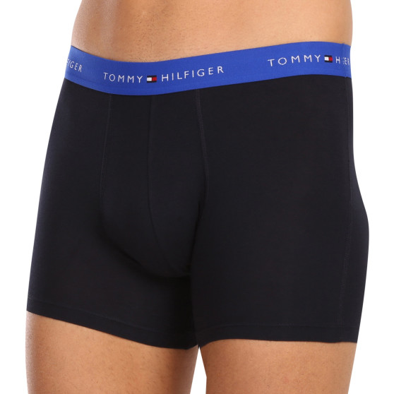 3PACK Boxershorts til mænd Tommy Hilfiger mørkeblå (UM0UM02765 0RW)