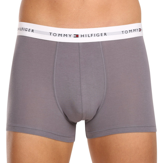 3PACK Boxershorts til mænd Tommy Hilfiger flerfarvet (UM0UM02768 0UI)