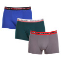 3PACK Boxershorts til mænd Tommy Hilfiger flerfarvet (UM0UM03007 0UF)