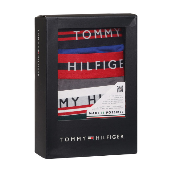 3PACK Boxershorts til mænd Tommy Hilfiger flerfarvet (UM0UM03007 0UF)