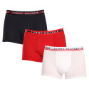 3PACK Boxershorts til mænd Tommy Hilfiger flerfarvet (UM0UM03007 0X0)