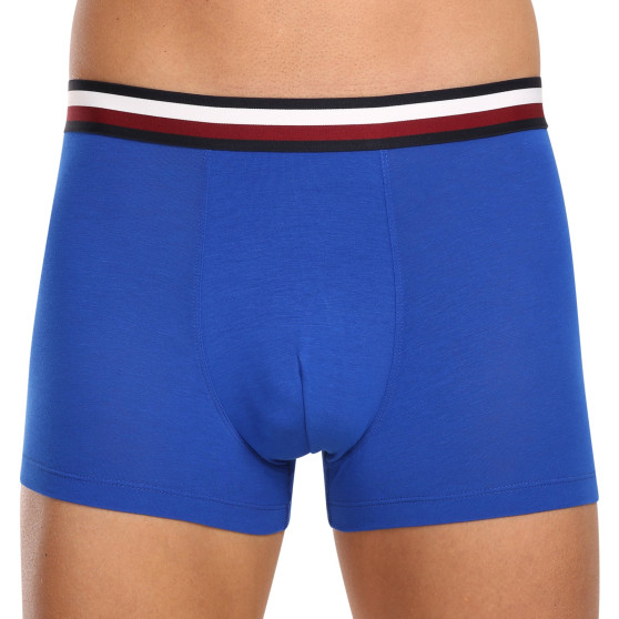 3PACK Boxershorts til mænd Tommy Hilfiger flerfarvet (UM0UM03035 0UG)