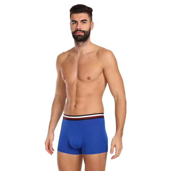 3PACK Boxershorts til mænd Tommy Hilfiger flerfarvet (UM0UM03035 0UG)