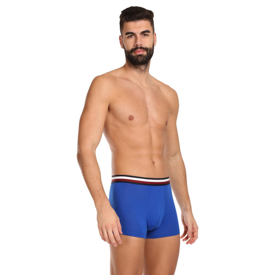 3PACK Boxershorts til mænd Tommy Hilfiger flerfarvet (UM0UM03035 0UG)