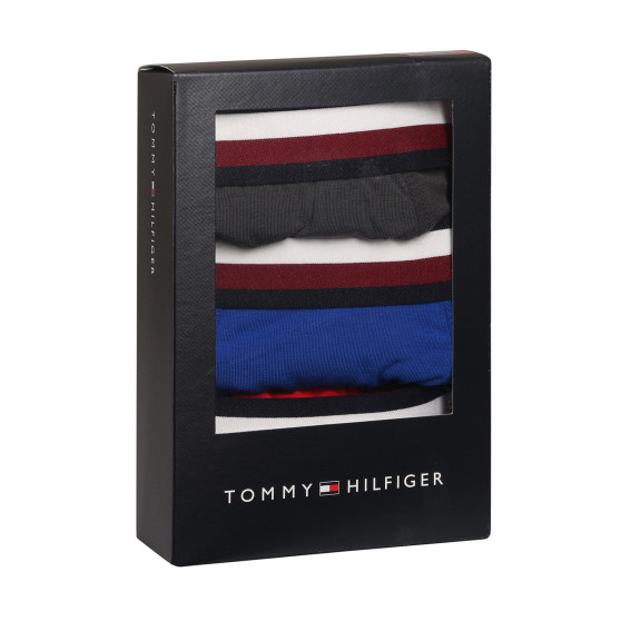 3PACK Boxershorts til mænd Tommy Hilfiger flerfarvet (UM0UM03035 0UG)