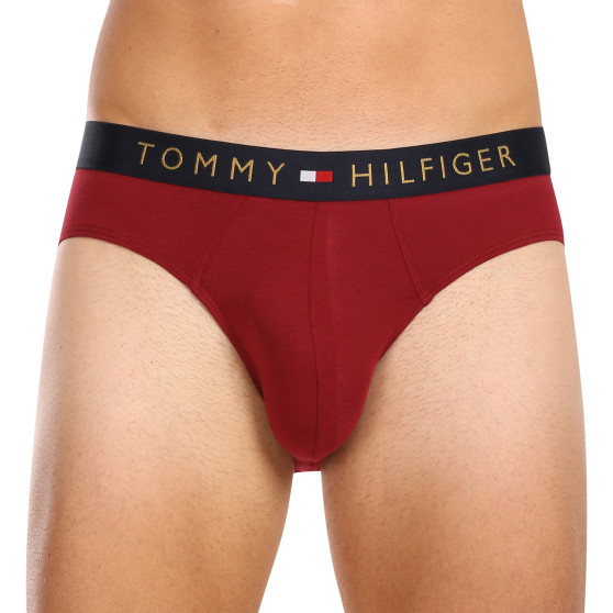 5PACK Trusser til mænd Tommy Hilfiger flerfarvet (UM0UM03037 0WJ)