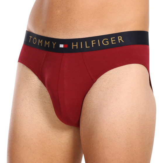 5PACK Trusser til mænd Tommy Hilfiger flerfarvet (UM0UM03037 0WJ)