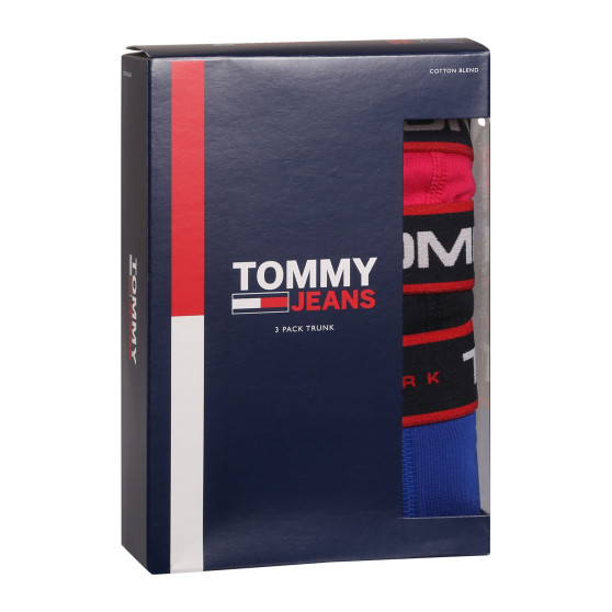 3PACK Boxershorts til mænd Tommy Hilfiger flerfarvet (UM0UM02968 0WF)