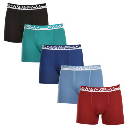 5PACK Boxershorts til mænd Gianvaglia flerfarvet (GVG-5011)