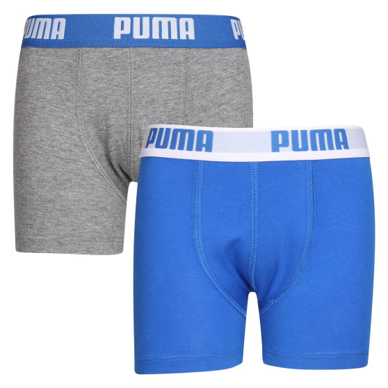 2PACK Boxershorts til drenge Puma flerfarvet (701219336 417)