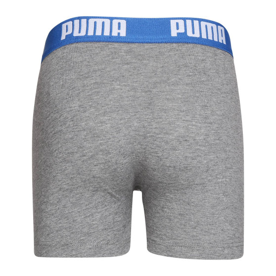 2PACK Boxershorts til drenge Puma flerfarvet (701219336 417)