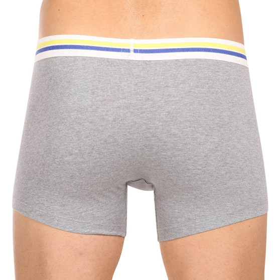 2PACK Boxershorts til mænd Levis flerfarvet (701222843 009)