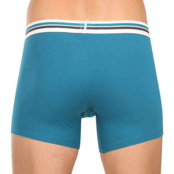 2PACK Boxershorts til mænd Levis flerfarvet (701222843 010)