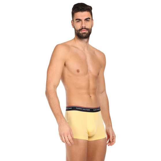 3PACK Boxershorts til mænd Tommy Hilfiger flerfarvet (1U87903842 0ID)