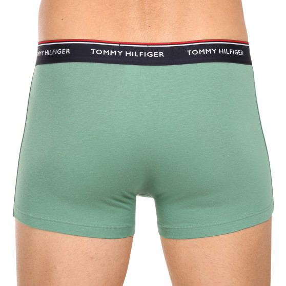 3PACK Boxershorts til mænd Tommy Hilfiger flerfarvet (1U87903842 0Y0)