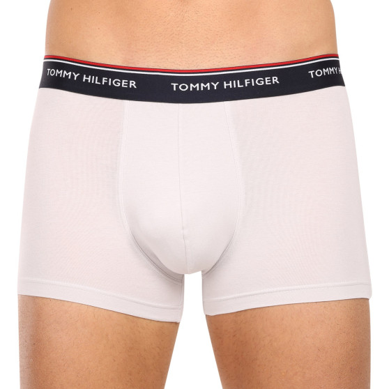 3PACK Boxershorts til mænd Tommy Hilfiger flerfarvet (1U87903842 0Y0)