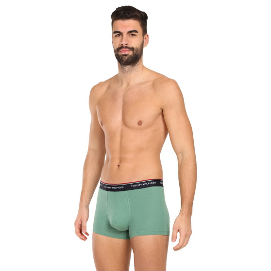 3PACK Boxershorts til mænd Tommy Hilfiger flerfarvet (1U87903842 0Y0)