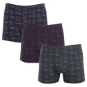 3PACK Boxershorts til mænd Andrie flerfarvet (PS 5786)