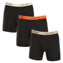 3PACK Boxershorts til mænd Calvin Klein sort (NB2570A-GTK)