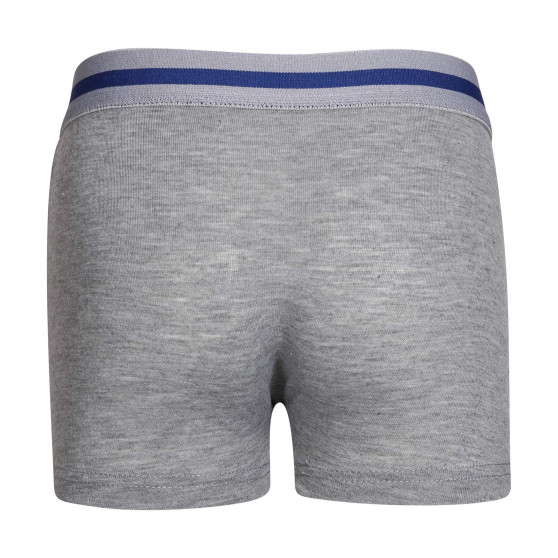 Boxershorts til børn Gianvaglia grå (023)