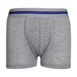 Boxershorts til børn Gianvaglia grå (023)