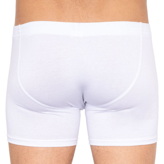 3PACK Boxershorts til mænd Styx lang klassisk gummi hvid (3F1061)