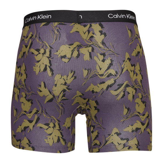 3PACK Boxershorts til mænd Calvin Klein flerfarvet (NB3529E-I14)