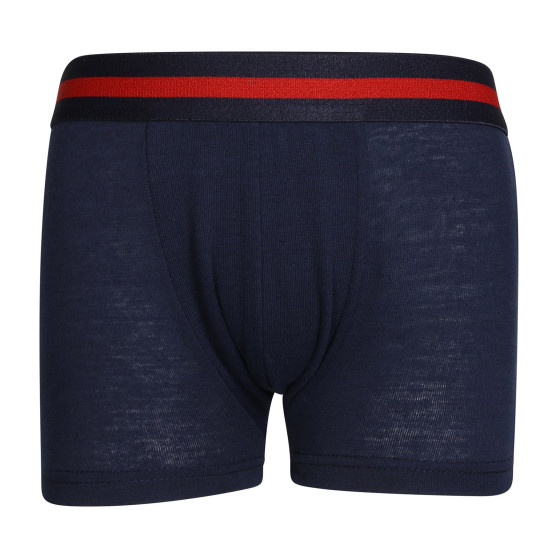 2PACK Boxershorts til børn Gianvaglia flerfarvet (023)