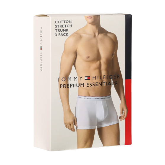 3PACK Boxershorts til mænd Tommy Hilfiger sort (1U87903842 990)