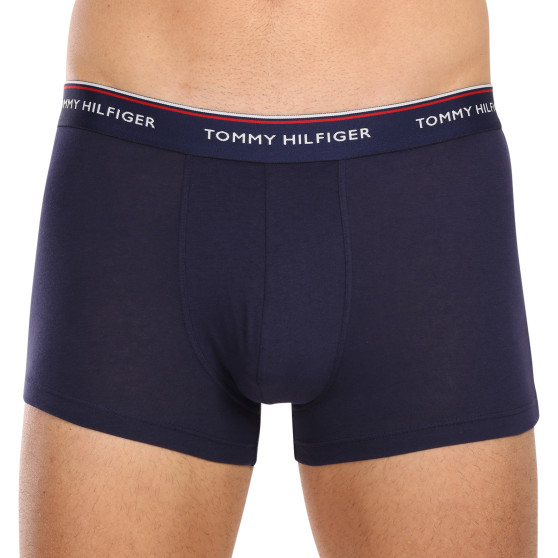 3PACK Boxershorts til mænd Tommy Hilfiger flerfarvet (1U87903842 611)