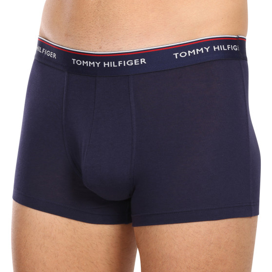 3PACK Boxershorts til mænd Tommy Hilfiger flerfarvet (1U87903842 611)