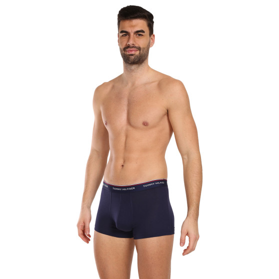 3PACK Boxershorts til mænd Tommy Hilfiger flerfarvet (1U87903842 611)