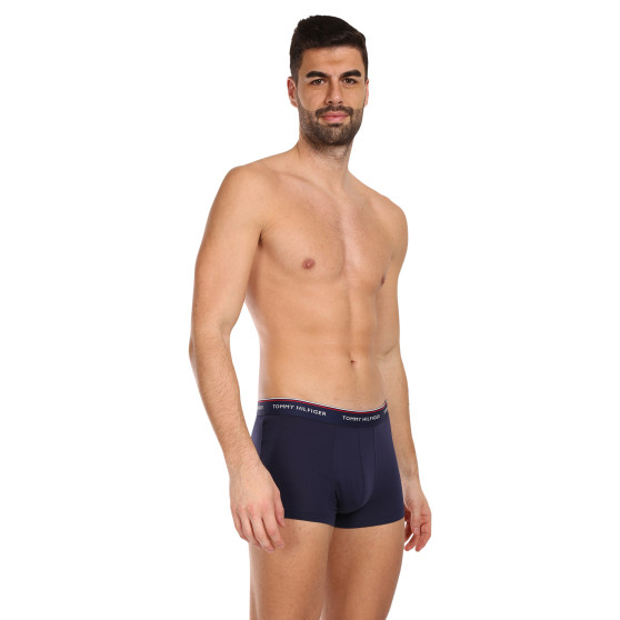 3PACK Boxershorts til mænd Tommy Hilfiger flerfarvet (1U87903842 611)