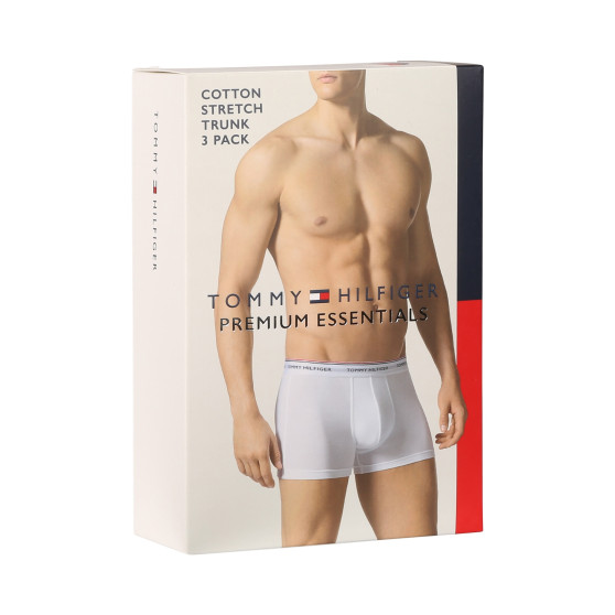 3PACK Boxershorts til mænd Tommy Hilfiger flerfarvet (1U87903842 611)