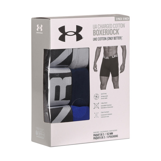 3PACK Boxershorts til mænd Under Armour flerfarvet (1363617 400)