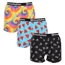 3PACK Boxershorts til mænd Horsefeathers Frazier Bundle 3 (AM096E)