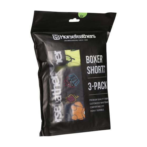 3PACK Boxershorts til mænd Horsefeathers Frazier Bundle 5 (AM096G)