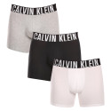 3PACK Boxershorts til mænd Calvin Klein flerfarvet (NB3609A-MP1)