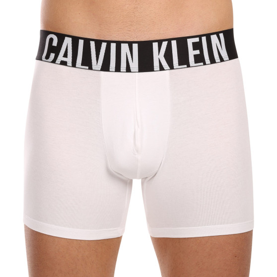 3PACK Boxershorts til mænd Calvin Klein flerfarvet (NB3609A-MP1)