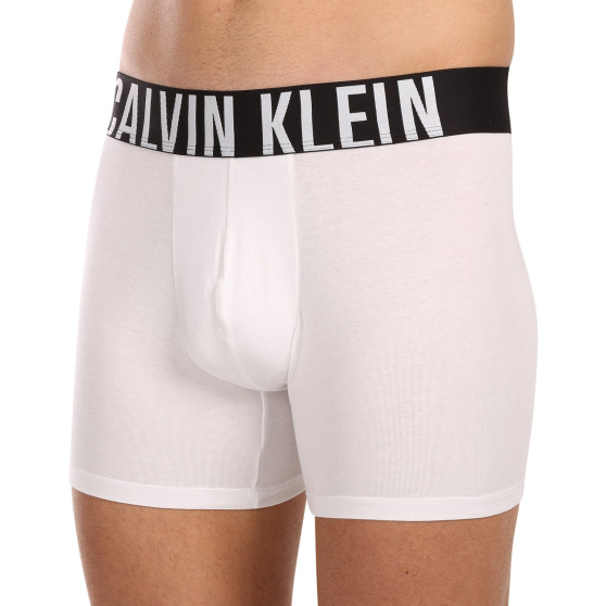 3PACK Boxershorts til mænd Calvin Klein flerfarvet (NB3609A-MP1)