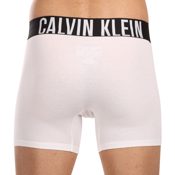 3PACK Boxershorts til mænd Calvin Klein flerfarvet (NB3609A-MP1)