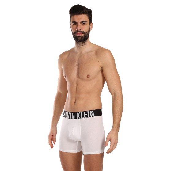 3PACK Boxershorts til mænd Calvin Klein flerfarvet (NB3609A-MP1)